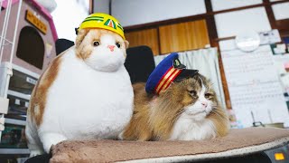 #60 お友達とまったりだにゃ!「ふにゃ~り日和」