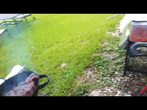 Se iso la carnita asada 7/15/18 rico