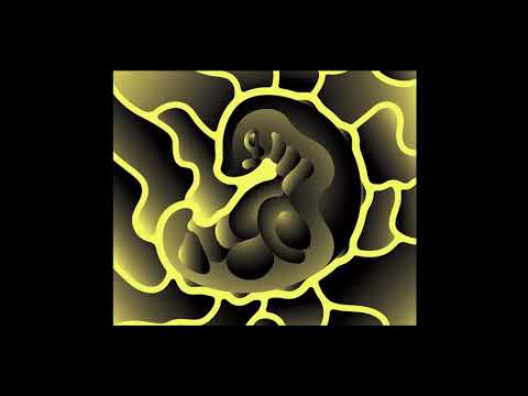 Forest Drive West  | They Live (Pessimist Remix) [Midgar 2021]