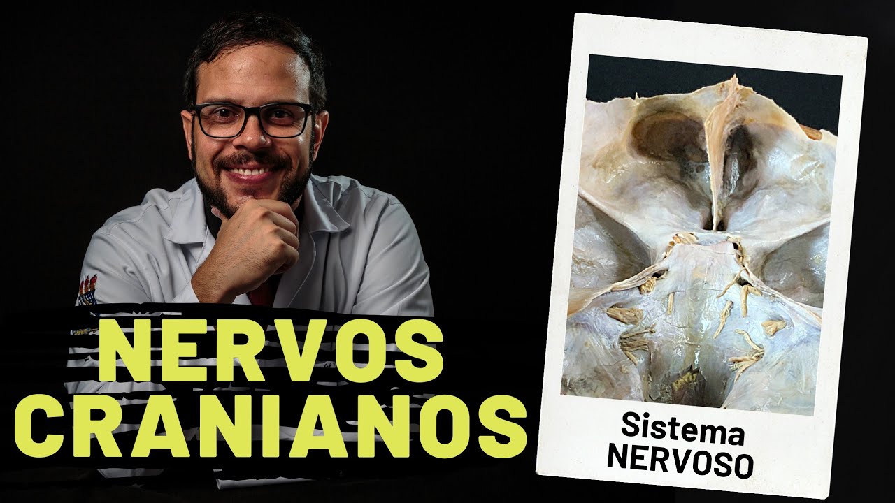 SISTEMA NERVOSO: NERVOS CRANIANOS - AULA PRÁTICA COM PROF. ANDRÉ OLIVEIRA
