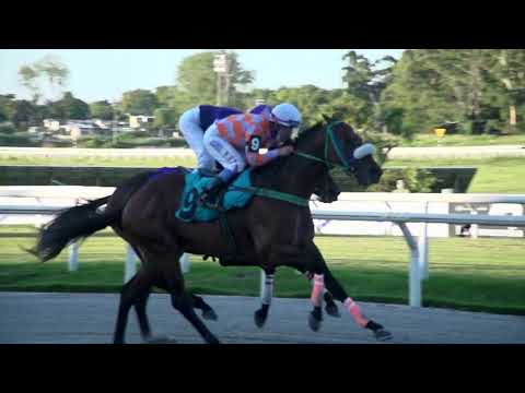 220225 c09 LUTHER KING (BRZ)