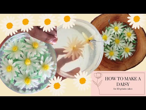 How To Make A Daisy | 3D Gelatin Cakes | Beginners