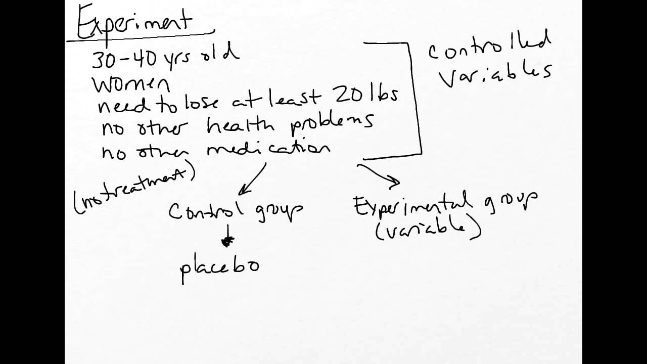 Scientific Method, example