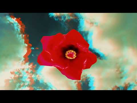 Danya Vodovoz - Flourished