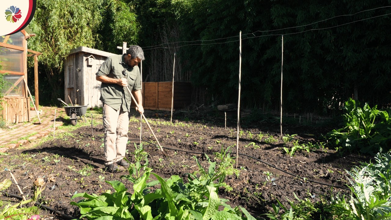 Extraño el acolchado y las espinacas en la Mini Granja 👨‍🌾