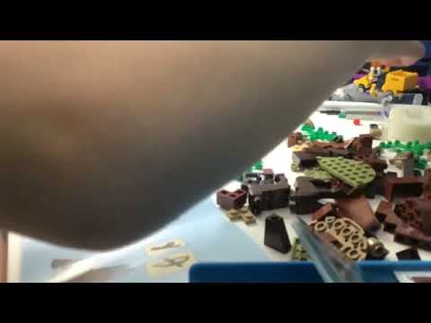 LEGO Harry Potter Forbidden Forest: Umbridge’s Encounter Speedbuild!