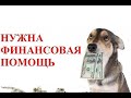 Как открыть сбор денег в Личном кабинете Тинькофф Банк