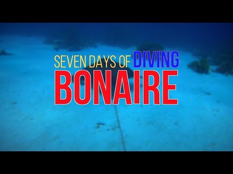 Seven Days of Diving Bonaire