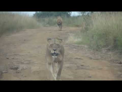 Unveiled Worship - Africa Trip from 2022 - Help support our 2025 Trip