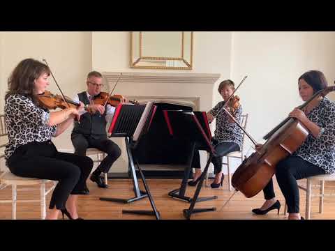 Dog days are over - Florence and the Machine