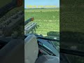 Ridging Soybeans Today Got Some Tough Looking Ones In Our Area Soybean Irrigation Agriculture