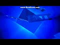 New Line Cinema 1998 High Picthed