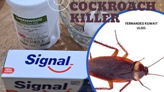 Effective Home Remedies to Get Rid of Cockroaches/Top Home Remedies for Cockroach Infestations
