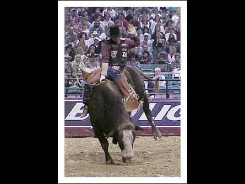 Superstition bucks Curt Lyons - 99 PBR Greensboro