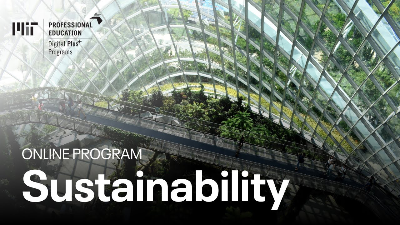 Sustainability: Strategies and Opportunities for Industry (Course overview)