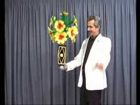 Instant Flower To Night Lamp w/ DVD - Tora