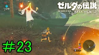 【実況】見落としが多い勇者の冒険part23【ブレスオブザワイルド】