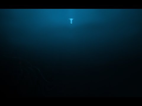 ABYSSES - La vie dans les profondeurs extrêmes - Documentaire HD