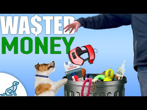 The Only Things You NEED When You Get A Puppy