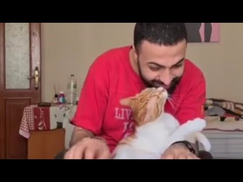 Spiderman save the day !∆Weird Vibes | Ep 003