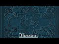 07 - Blossom - Ryan Adams & The Cardinals - Disc Two
