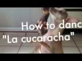 how to dance La Cucaracha... 