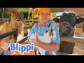 Blippi S Farm Animal Adventure Best Animal Videos For Kids Kids Songs And Nursery Rhymes
