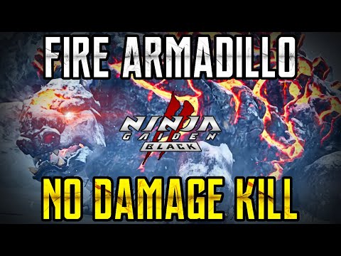 Ninja Gaiden II Black – Fire Armadillo No Damage Kill (Master Ninja Difficulty)