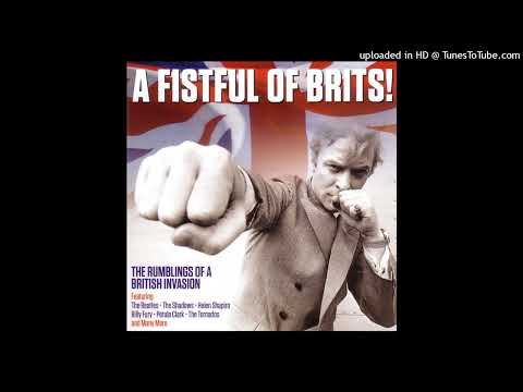 Marty Wilde - A Teenager In Love