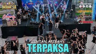 Download lagu Intan Afifah - Terpaksa I Mahesa Music Live PT.CIMORY - Pasuruan mp3