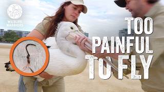 Our Rescue Team & Twinnies Save STRANDED Pelican