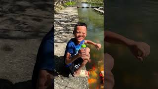 Download lagu Funny video | Happy to feed school of fish #shorts #funny mp3 Download lagu Funny video | Happy to feed school of fish #shorts #funny mp3