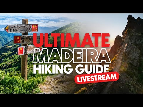 The Ultimate MADEIRA HIKING Guide (Livestream)