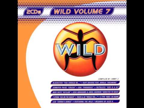 WILD FM VOLUME 7 - WILD VOLUME 7 MEGAMIX (ALEX K)