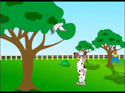 ⁣موسوعة الطفل,قصص متحركة,الكلب والحمامة