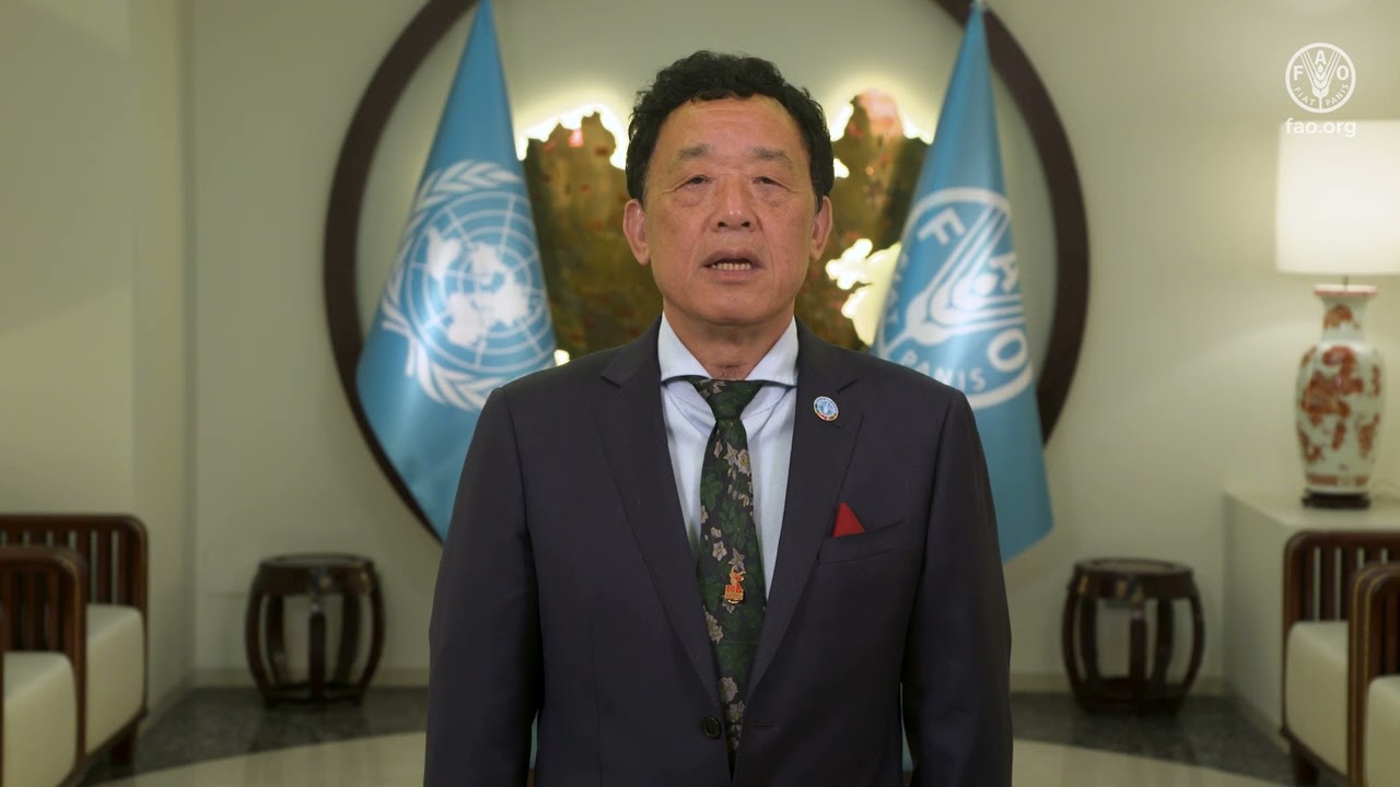 FAO Director-General video message to celebrate the 2025 International Day of Potato