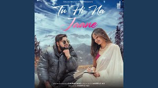 TU HI NA JAANE