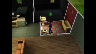 preview picture of video 'The Sims 3: barf'