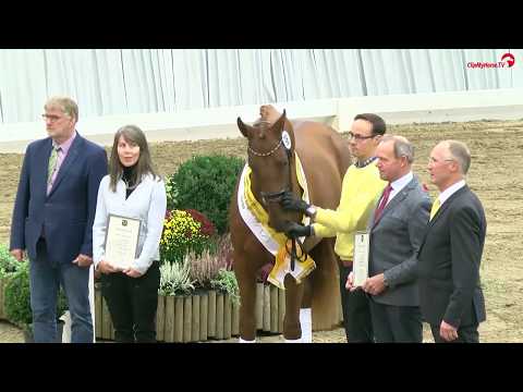 Vivaldos* 2016 by Vivaldi - Desperados