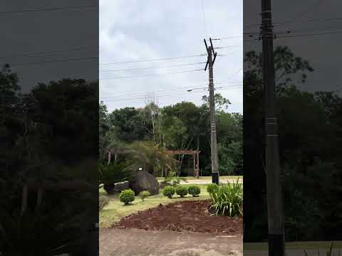 Você já visitou Mato Leitão? 💚#matoleitao #riograndedosul #cidade