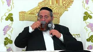 הרב החיד''א-שיעור מאשדוד- שבח ארץ ישראל-פרשת "שלח לך"-סיון תשע''ח