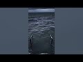 Choi Yu Ree WISH Inst Ending 3minutes Loop