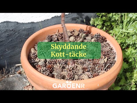 Skyddande kott-täcke - Trädgårdshacks med GardenR