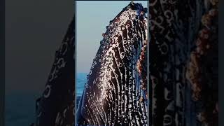 Download lagu Tanda tanda kebesaran allah swt yang terhampar di alam raya disebut, #short, #perjalanan mp3