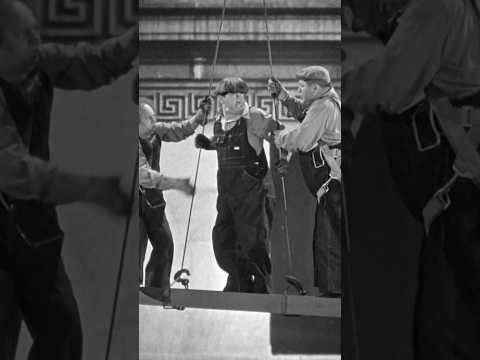 The THREE STOOGES are moving up #threestooges #thethreestooges #comedy