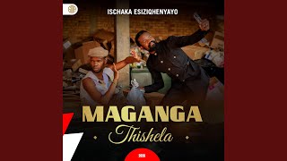 Download lagu imthetho yabazali (feat. Shenge wasehlankosi) mp3