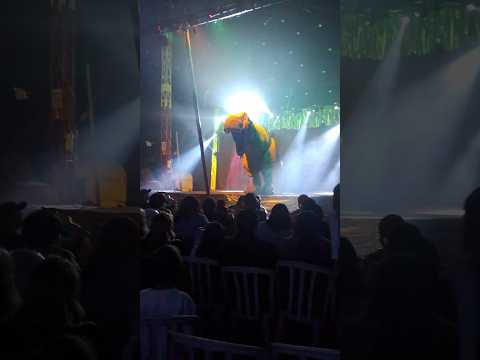 tiranosauro rex  o gigante do circo romanos em itaperucu Paraná