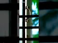 Nimir Nenjil Maamalai Video Song In Whatsapp Status Videos