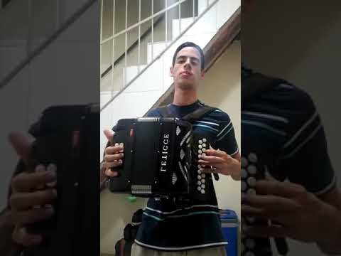 Forró do seu zezu Treinando Forró do Arlindo