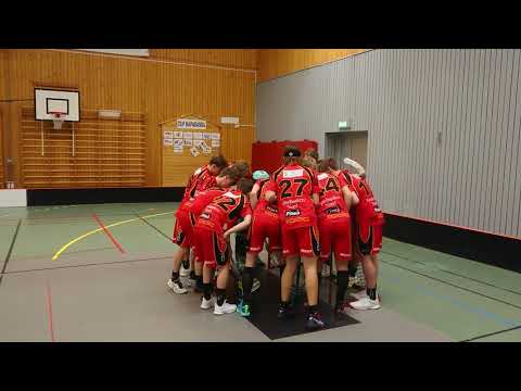 Wibax IBF 2019   2020